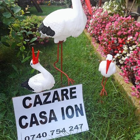 Ferienwohnung Casa Ion Horezu Exterior foto