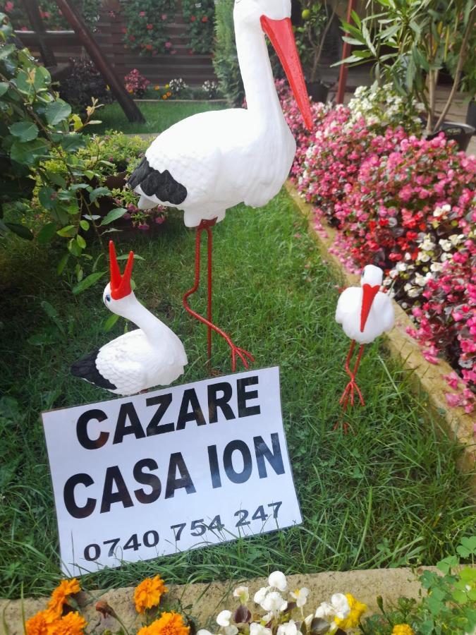 Ferienwohnung Casa Ion Horezu Exterior foto