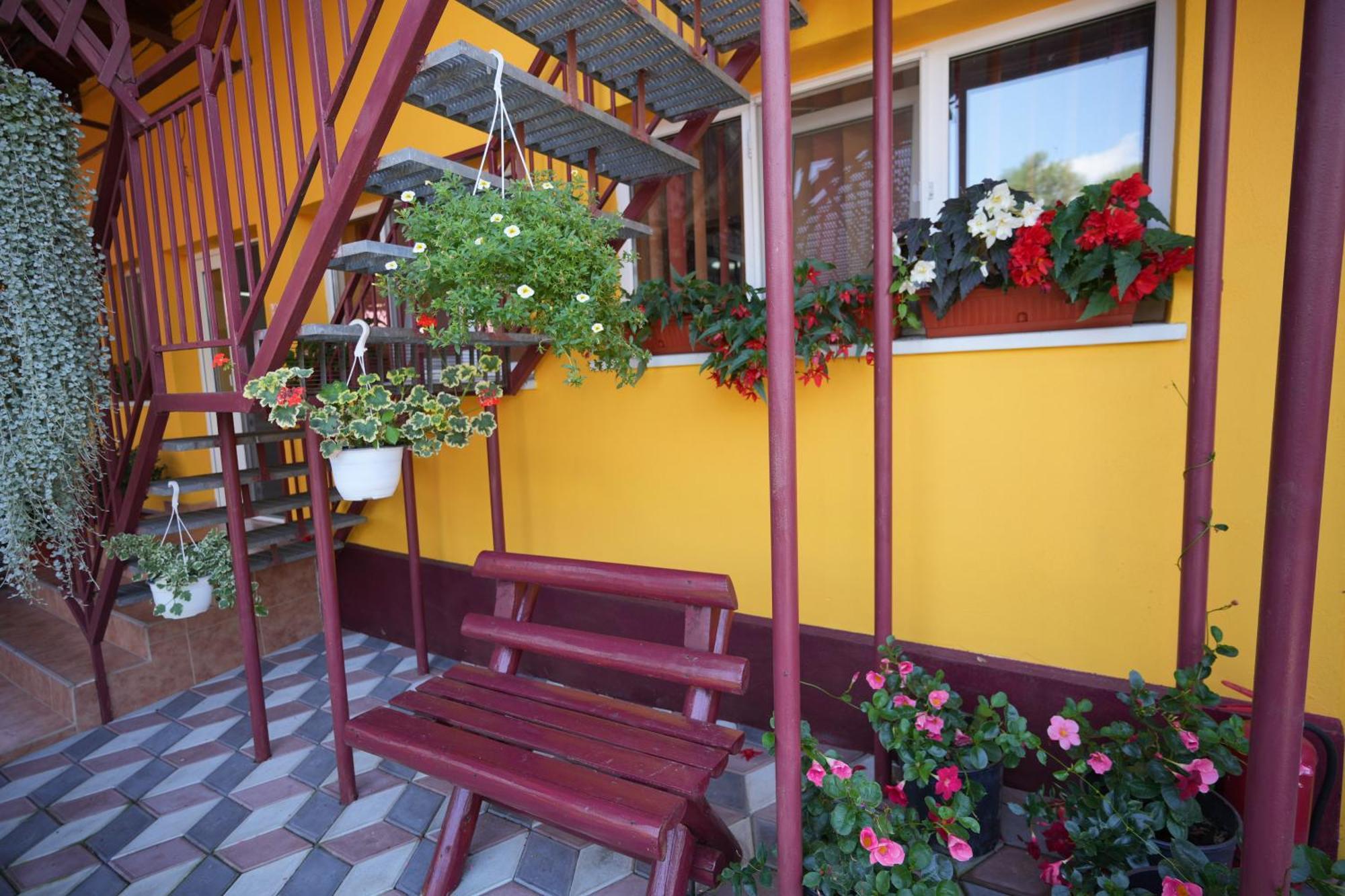 Ferienwohnung Casa Ion Horezu Exterior foto