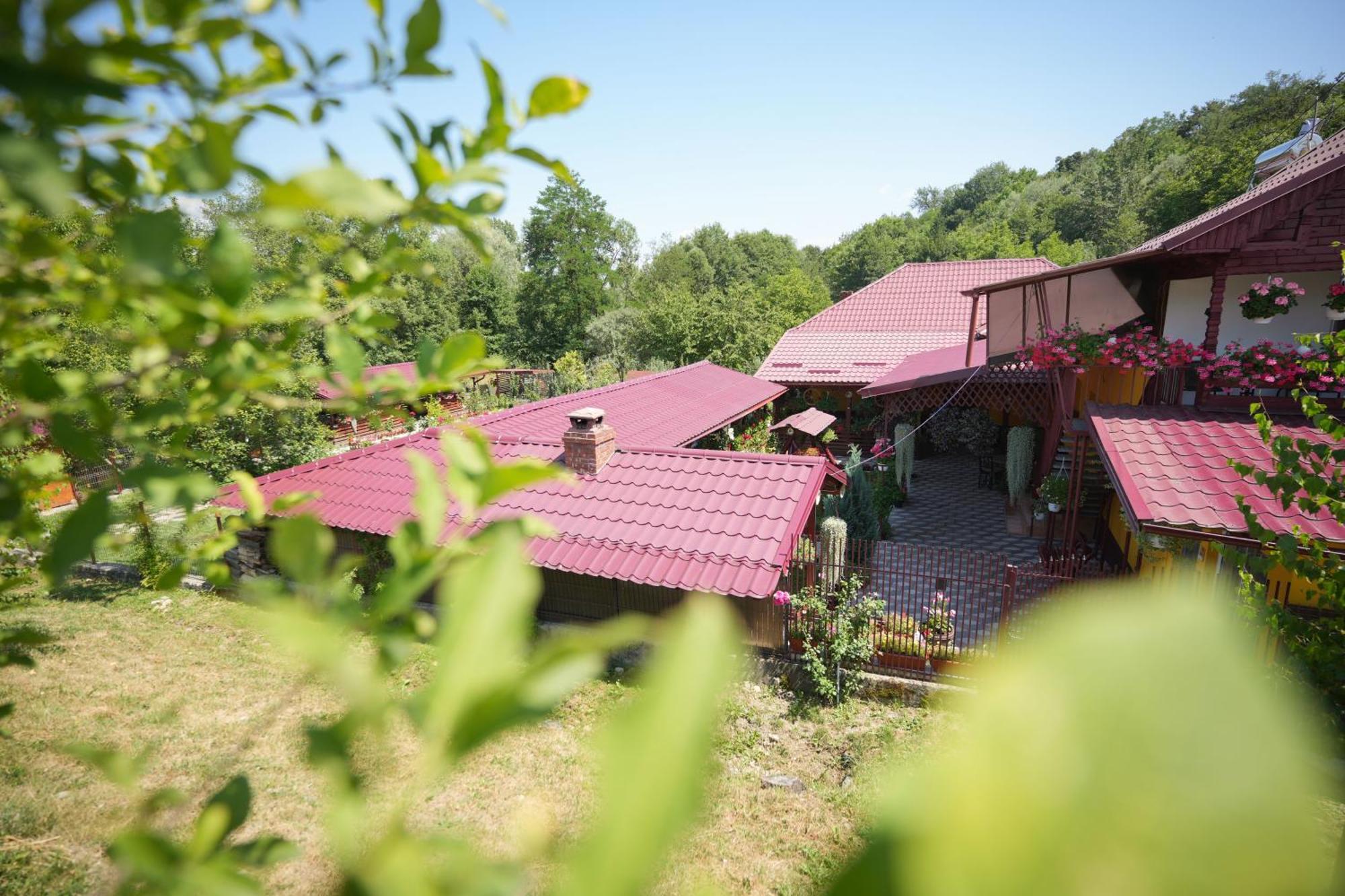 Ferienwohnung Casa Ion Horezu Exterior foto