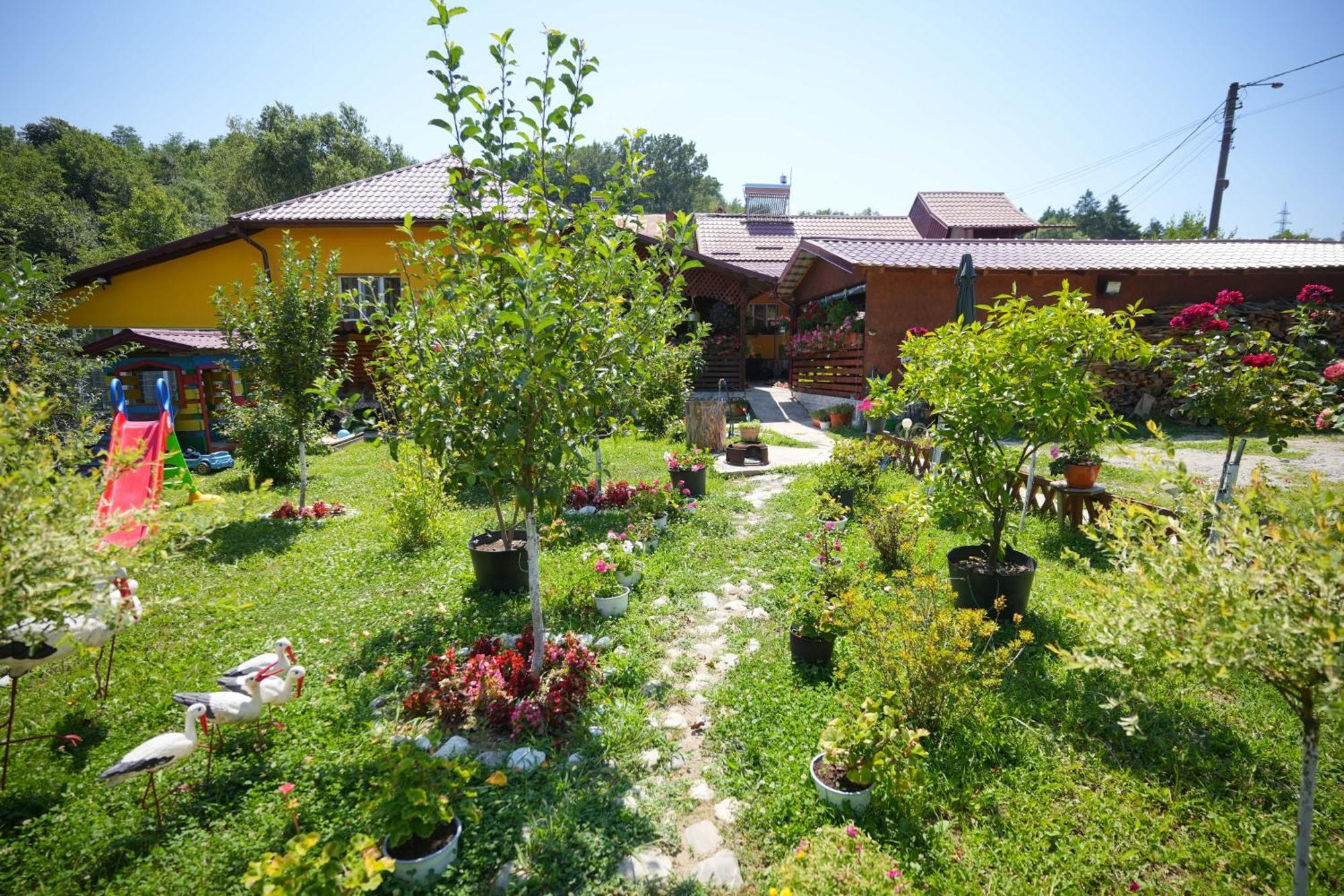 Ferienwohnung Casa Ion Horezu Exterior foto