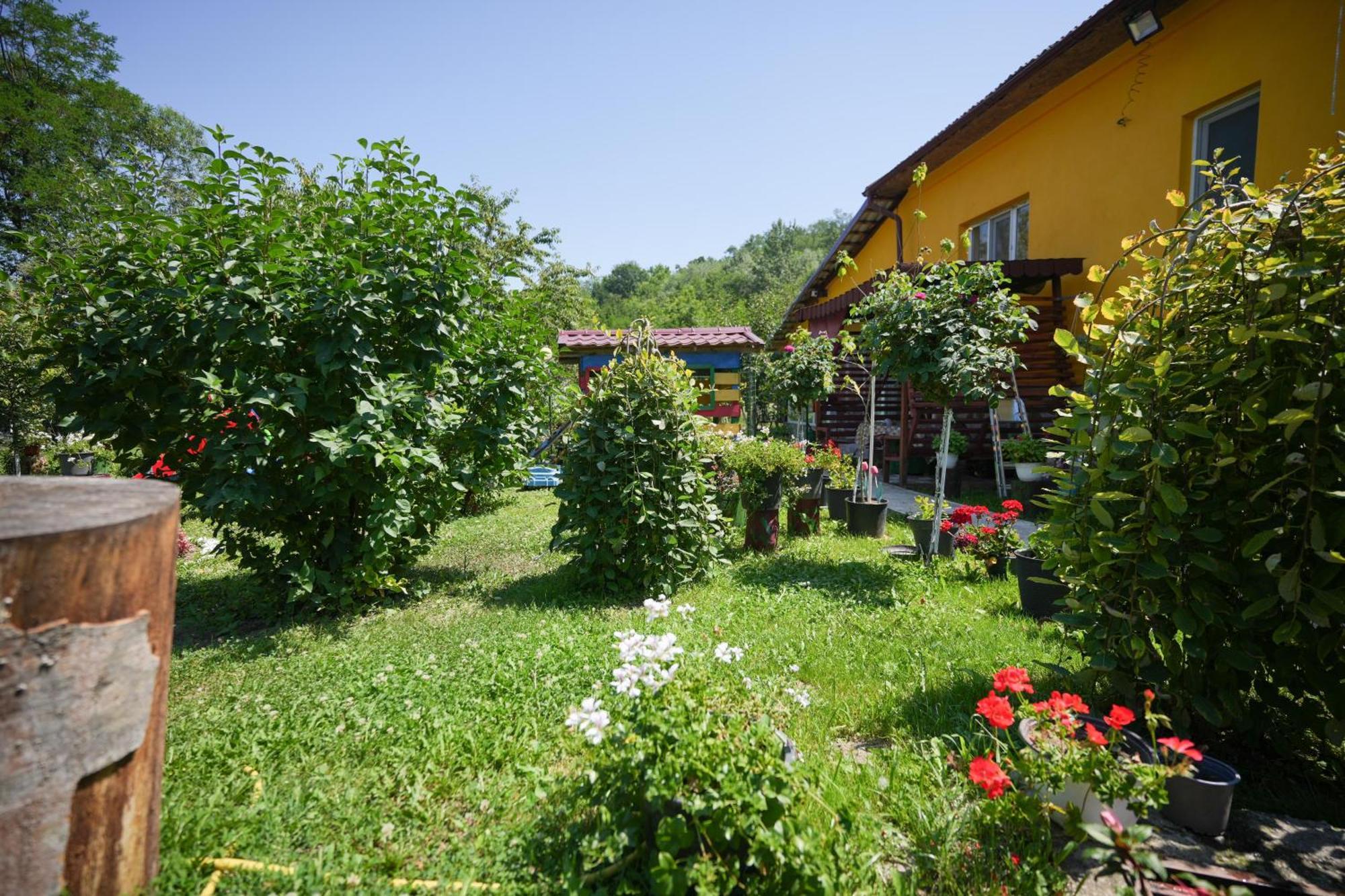 Ferienwohnung Casa Ion Horezu Exterior foto