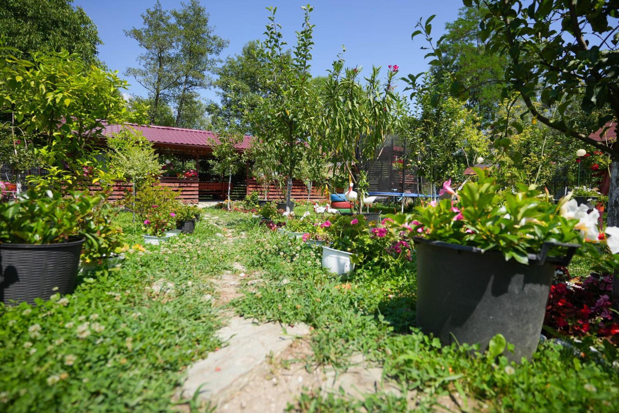 Ferienwohnung Casa Ion Horezu Exterior foto