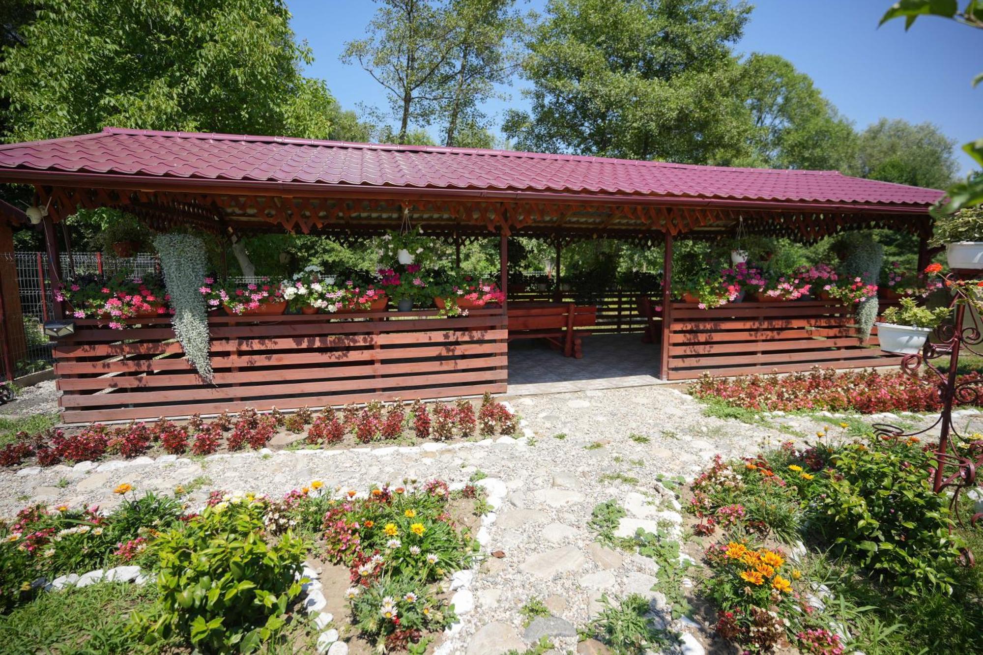 Ferienwohnung Casa Ion Horezu Exterior foto