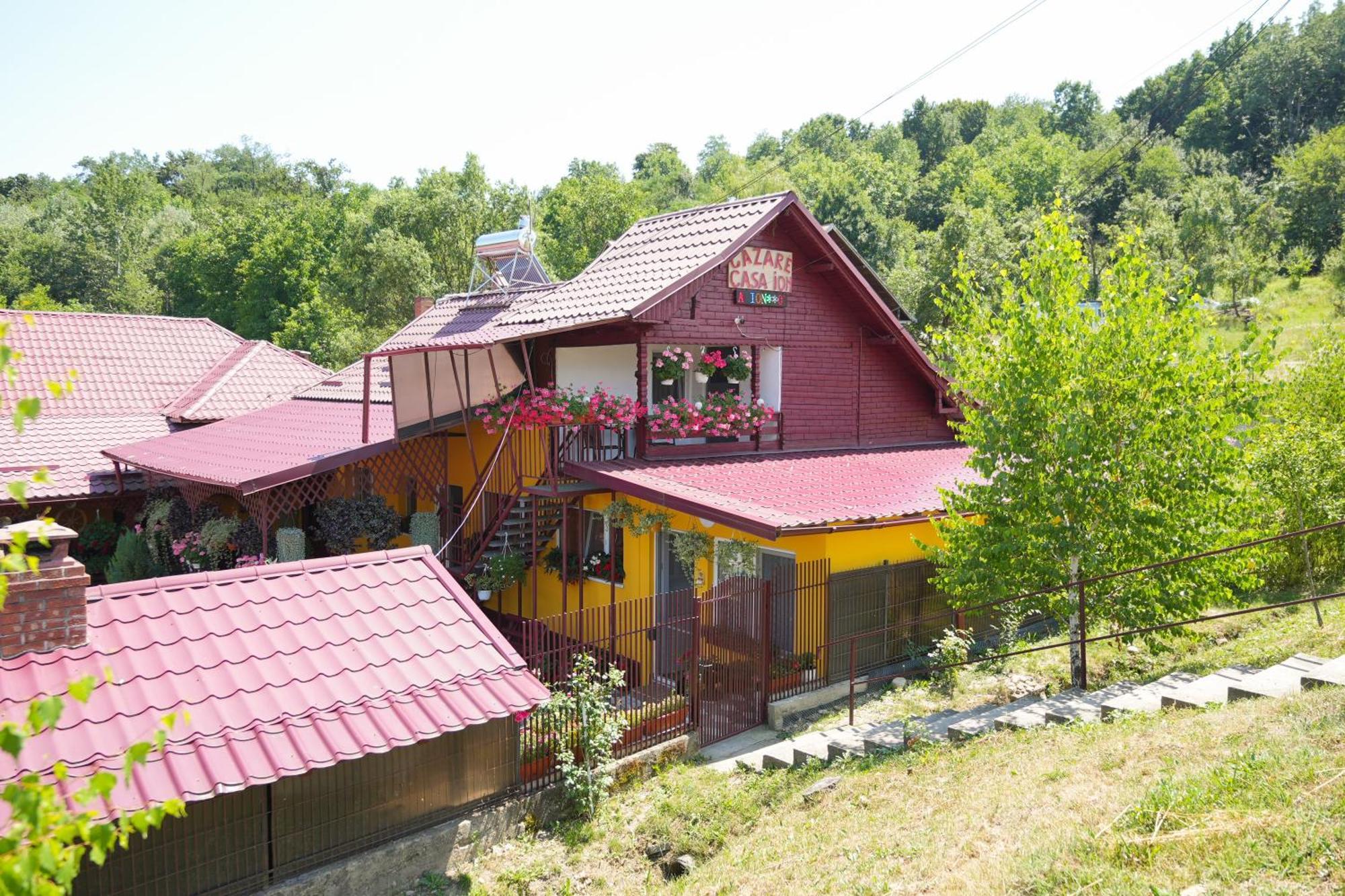 Ferienwohnung Casa Ion Horezu Exterior foto