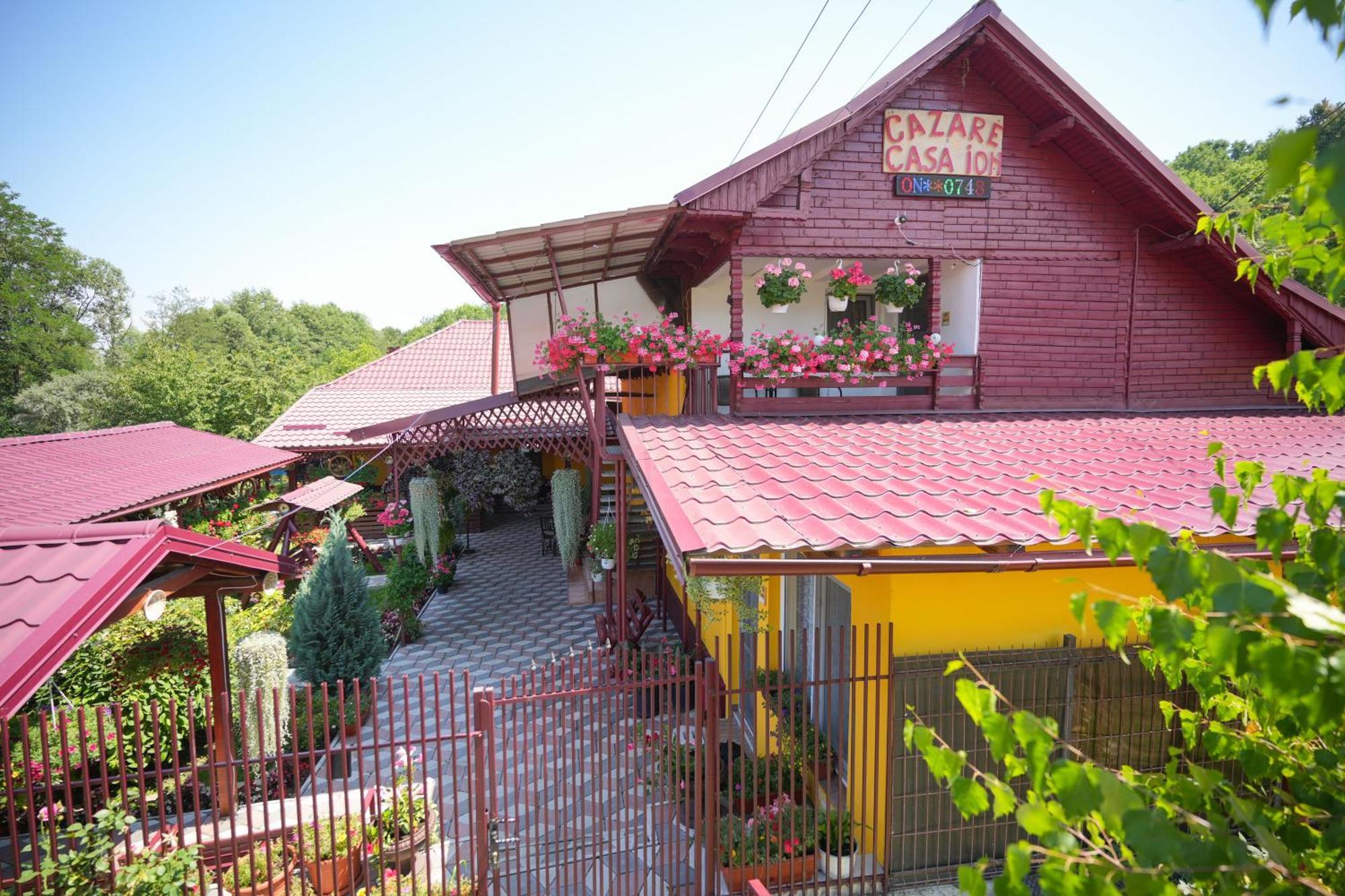 Ferienwohnung Casa Ion Horezu Exterior foto