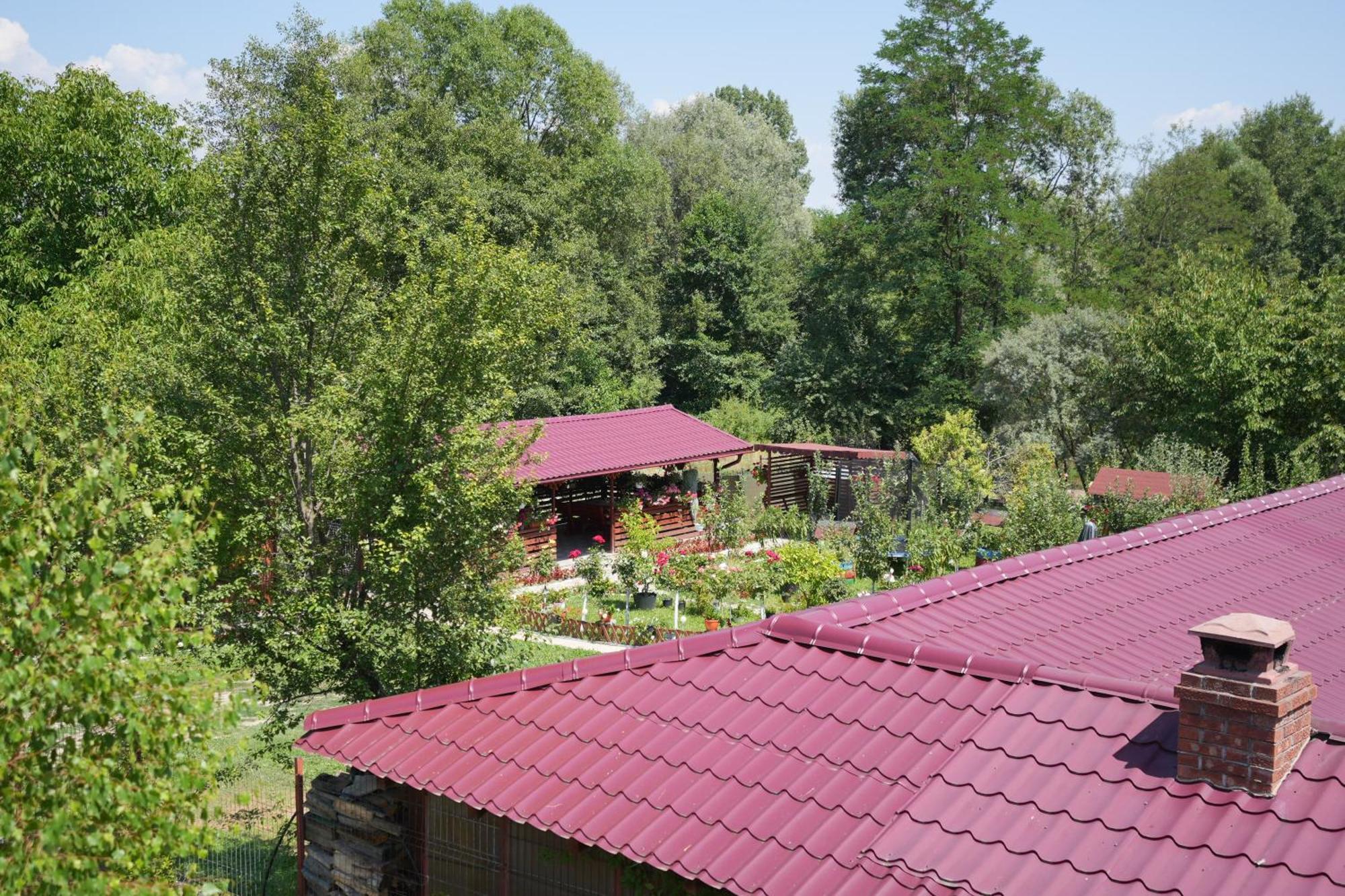 Ferienwohnung Casa Ion Horezu Exterior foto