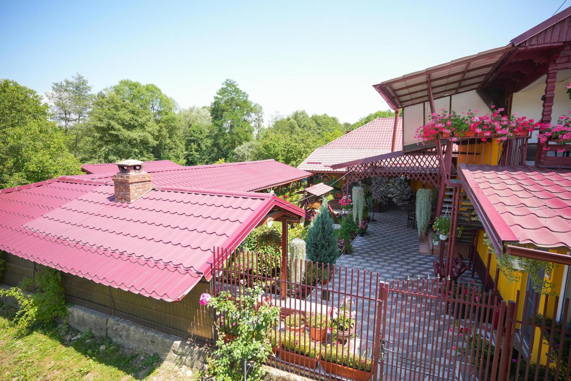 Ferienwohnung Casa Ion Horezu Exterior foto